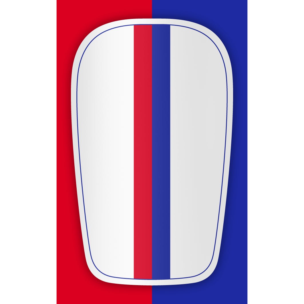 LYON - DOMICILE - EKIPE FOOTBALL